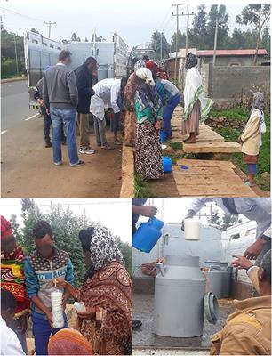 Evaluation of Scenarios for Improving the Collection System for a Milk Factory in Ethiopia